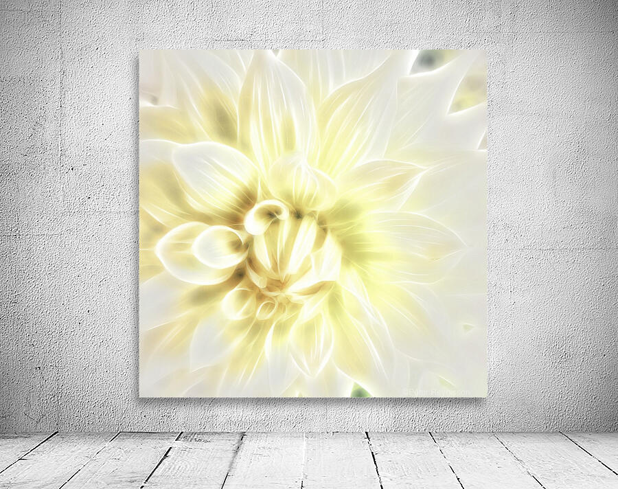 Dahlia Wall Preview
