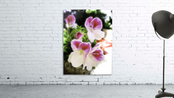 Untitled Wall Preview