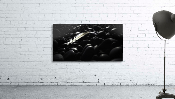 Soft Wall Preview