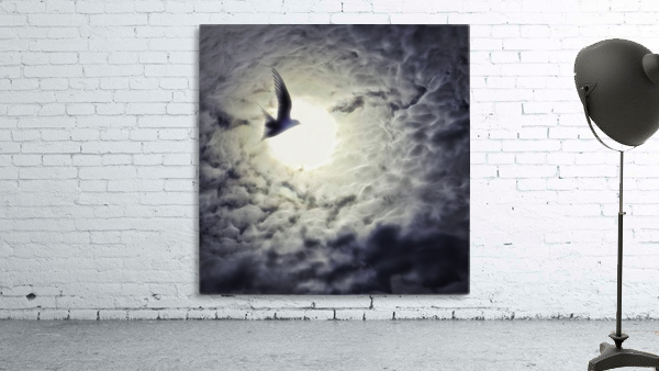 Towards the sun Wall Preview