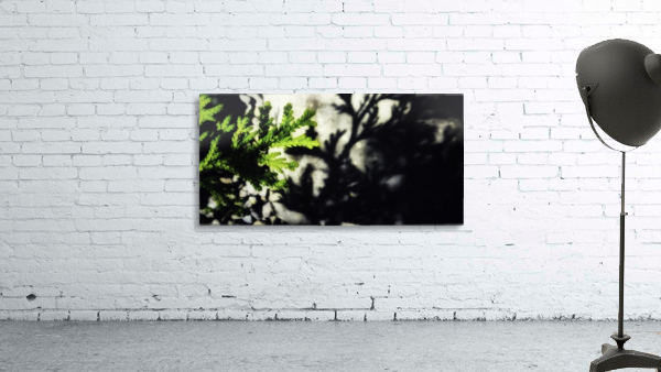 Untitled Wall Preview