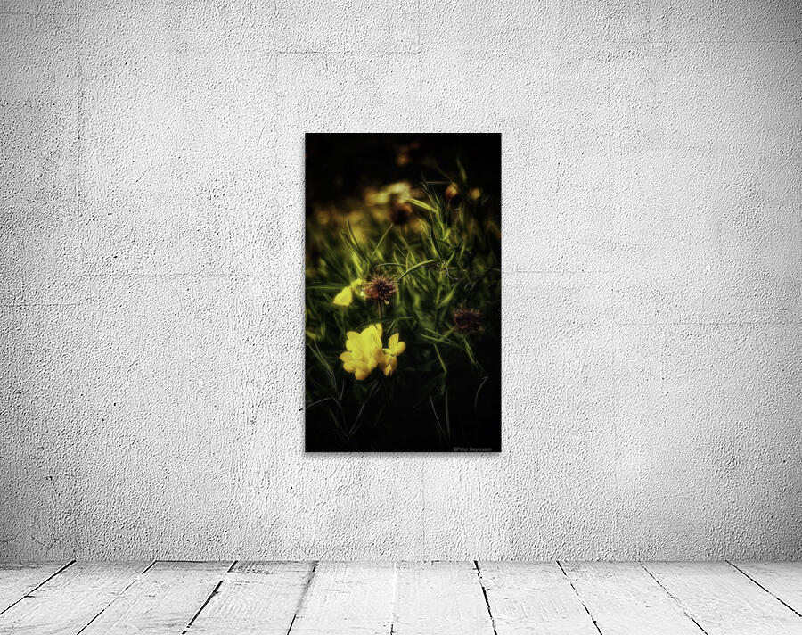 Untitled Wall Preview