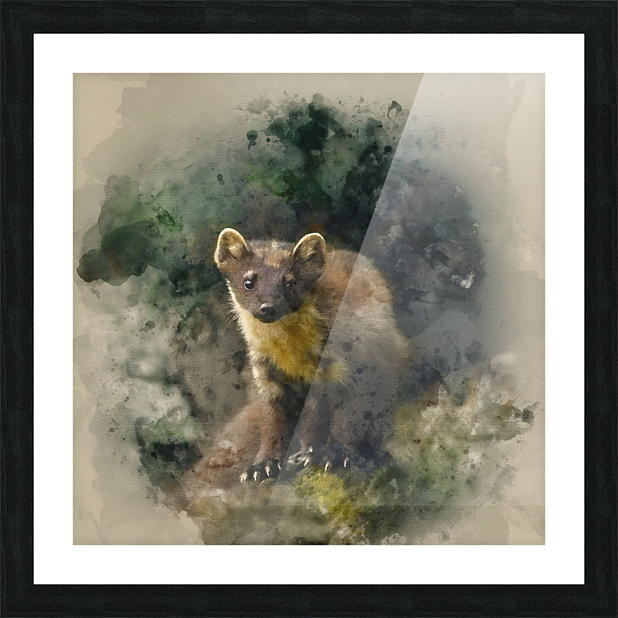Pine Marten Watercolour Picture Frame print