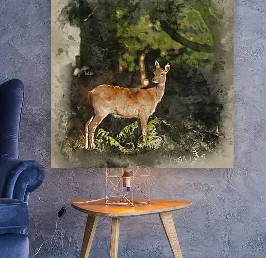 Watercolour painting of Stunning hind doe red deer cervus elaphu by Matthew Gibson