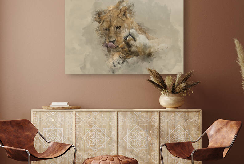 Beautiful watercolour painting of Barbary Atlas Lion Panthera Le by Matthew Gibson