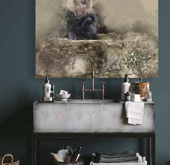 Beautiful watercolour painting of Lion Tailed Macaque monkey Mac by Matthew Gibson
