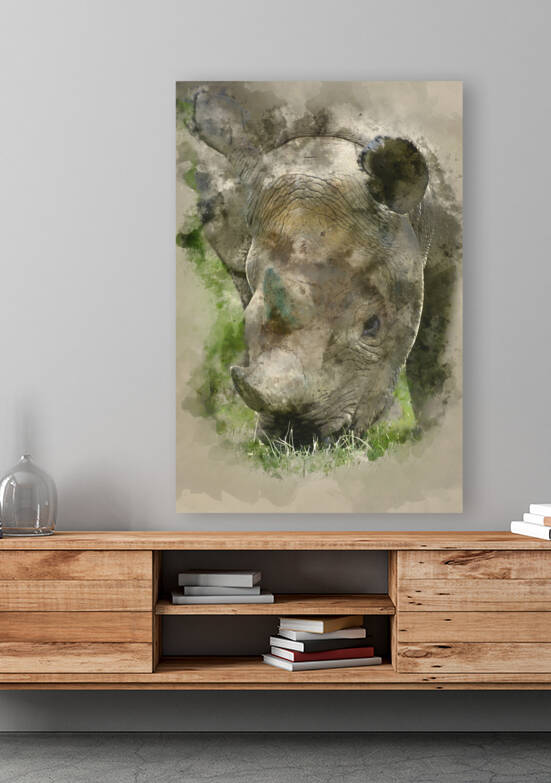 Watercolour painting of black rhinoceros diceros bicornis michae by Matthew Gibson