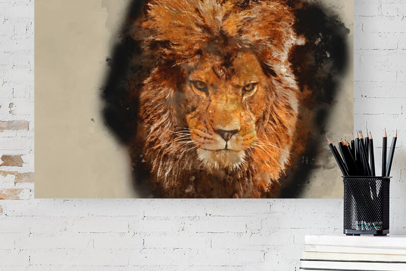 Watercolour painting of Stunning facial portrait of male lion on by Matthew Gibson