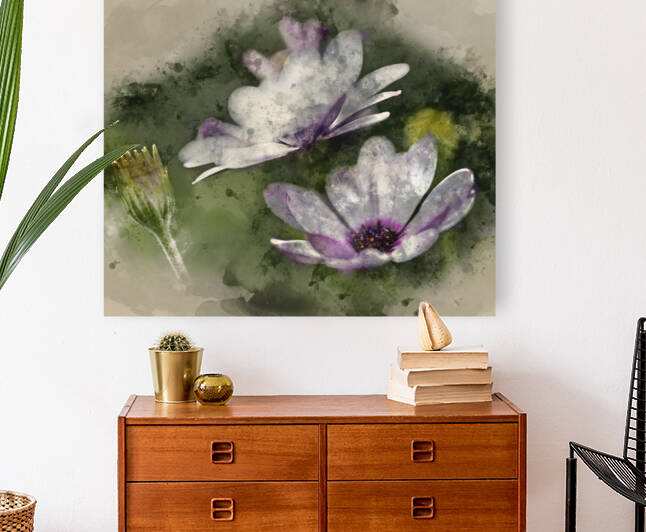 Watercolour painting of Lovely close up image of White Cape Dais by Matthew Gibson