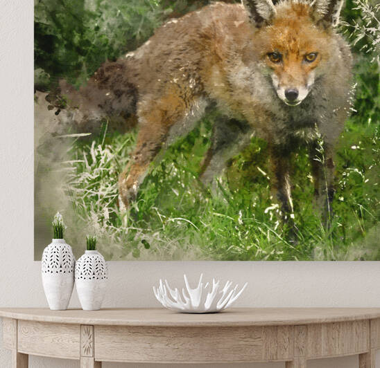 Watercolour painting of Stunning male fox in long lush green gra by Matthew Gibson