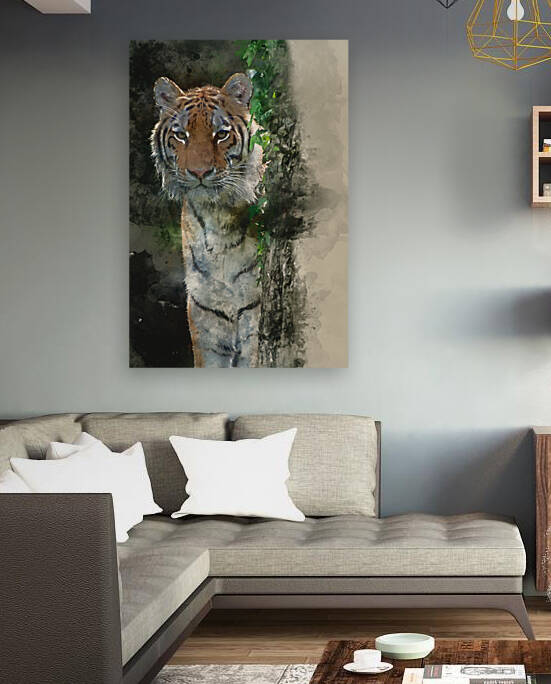 Bengal tiger panthera tigris tigris in captivity by Matthew Gibson