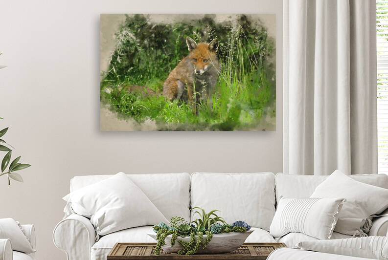 Watercolour painting of Stunning male fox in long lush green gra by Matthew Gibson
