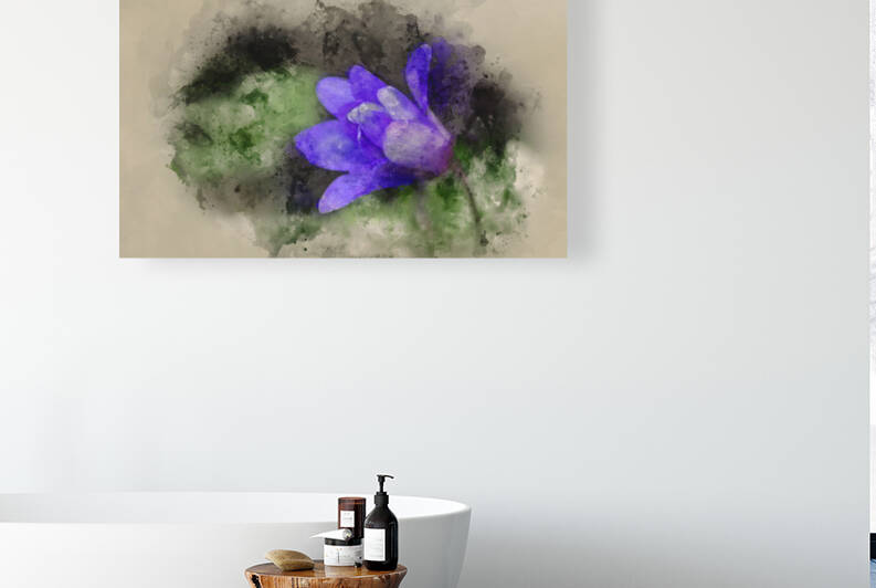 Watercolour painting of helleborous flower in Spring in forest by Matthew Gibson