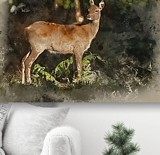 Watercolour painting of Stunning hind doe red deer cervus elaphu by Matthew Gibson