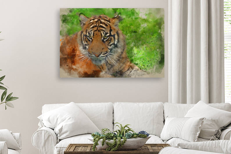 Watercolour painting of Portrait of Sumatran Tiger Panthera Tigr by Matthew Gibson