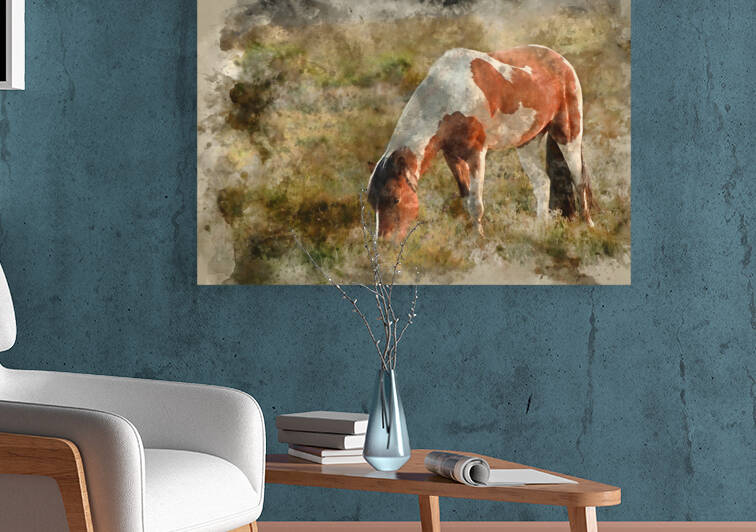 Watercolour painting of Close up of brown and white New Forest p by Matthew Gibson