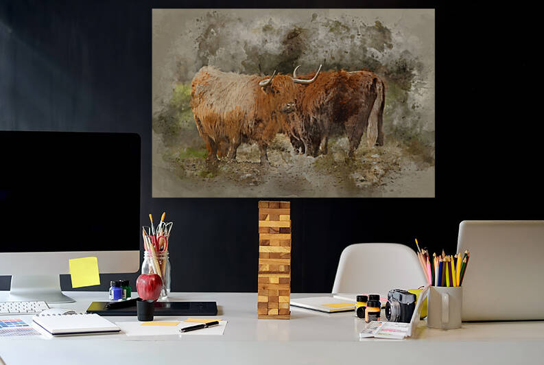 Watercolour painting of Beautiful Scottish Highland Cattle grazi by Matthew Gibson