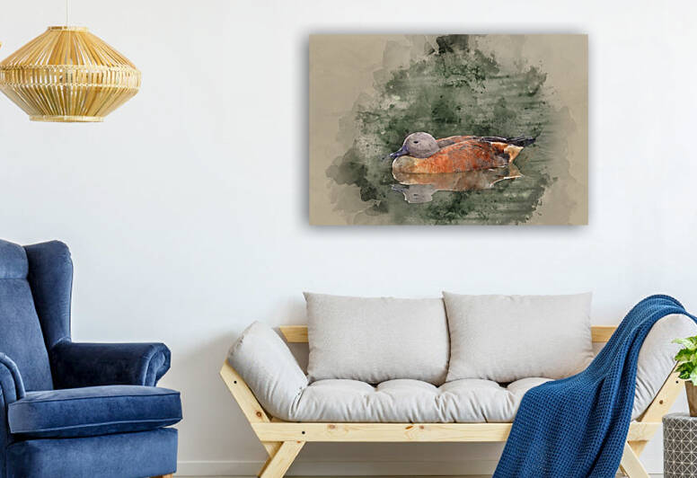 Vibrant portrait of South African Shelduck in pond landscape by Matthew Gibson