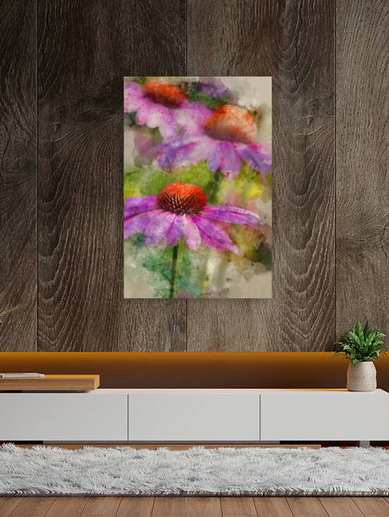 Watercolour painting of Coneflower Rubinstern echinacea purpurea by Matthew Gibson