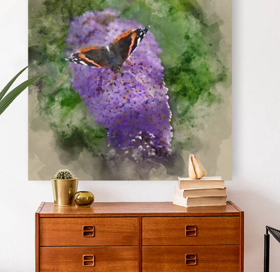 Watercolour painting of Lovely image of Red Admiral butterfly Va by Matthew Gibson