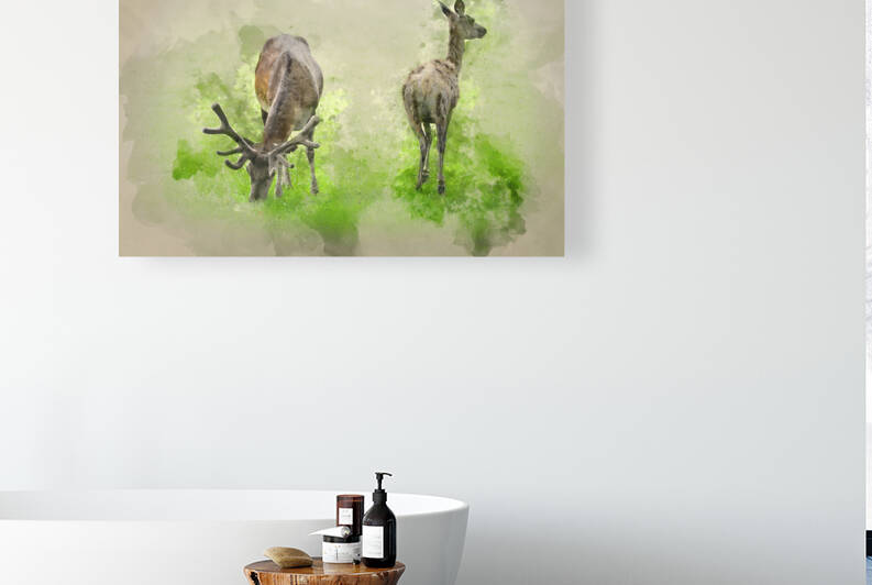 Watercolour painting of Beautiful red deer stag and doe in brigh by Matthew Gibson