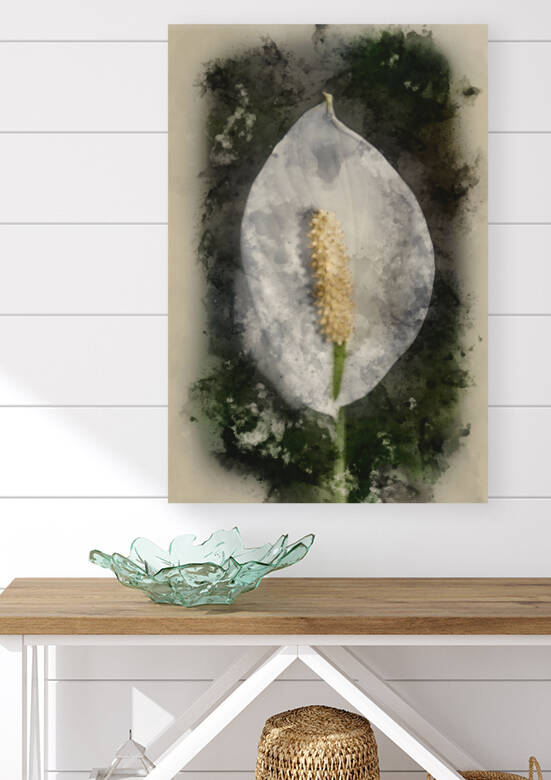 Watercolour painting of white calla lily flower by Matthew Gibson