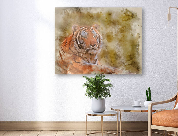 Stunning close up image of tiger relaxing on warm day by Matthew Gibson