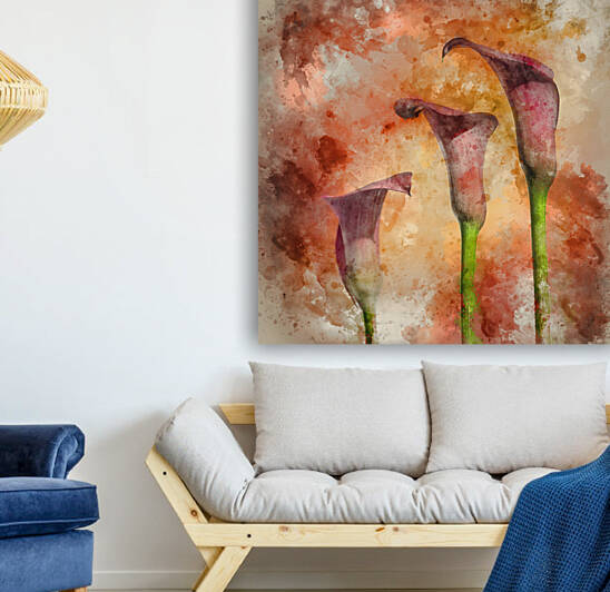 Beautiful macro close up image of colorful vibrant calla lily fl by Matthew Gibson