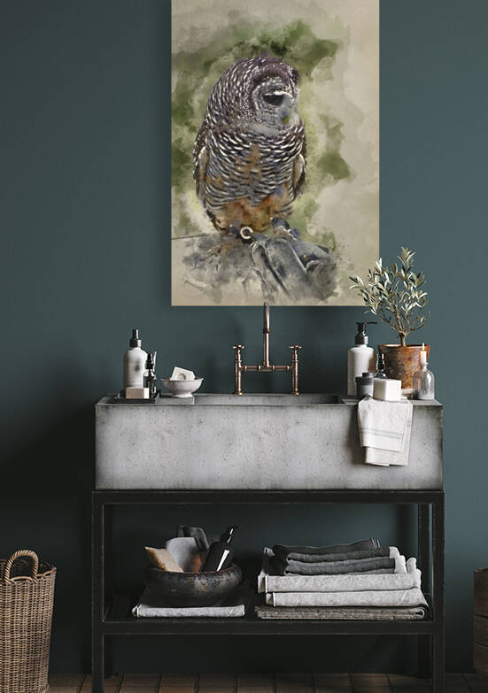 Watercolor painting of Timid chaco owl bird of prey during falco by Matthew Gibson