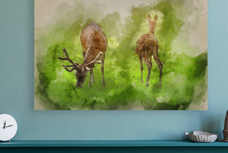 Watercolour painting of Beautiful red deer stag and doe in brigh by Matthew Gibson