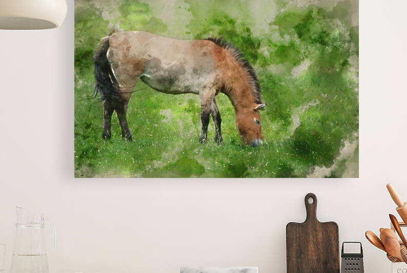 Watercolor painting of Przewaski horse equus ferus przwealski  by Matthew Gibson
