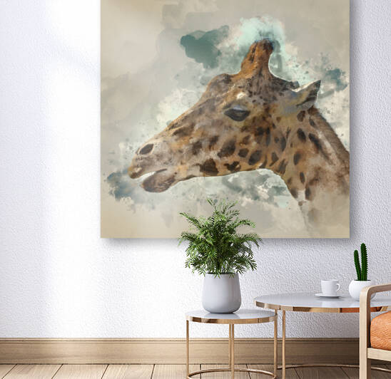 Watercolor painting of Portrait of African Giraffe Giraffa again by Matthew Gibson