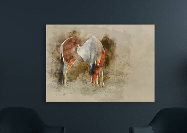Watercolor painting of Close up of brown and white New Forest po by Matthew Gibson