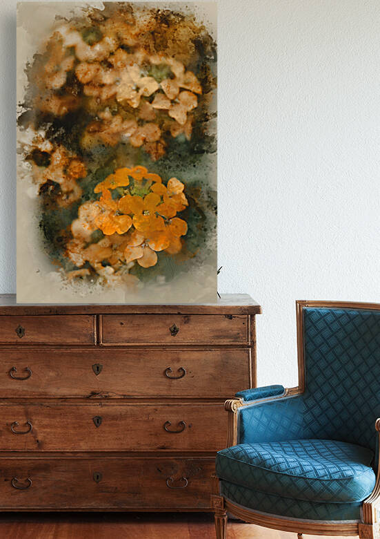 Watercolor painting of Beautiful vibrant orange apricot twist er by Matthew Gibson