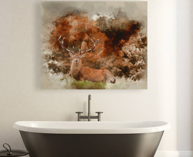 Watercolor painting of Red deer stag during rutting season in Au by Matthew Gibson