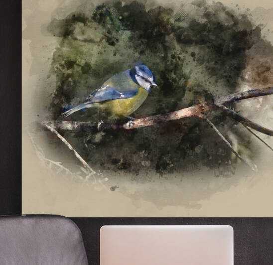Watercolor painting of Stunning portrait of Blue Tit Cyanistes C by Matthew Gibson