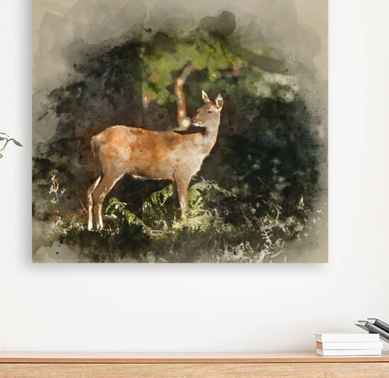 Digital watercolor painting of Stunning hind doe red deer cervus by Matthew Gibson