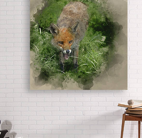 Digital watercolor painting of Stunning image of red fox vulpes  by Matthew Gibson