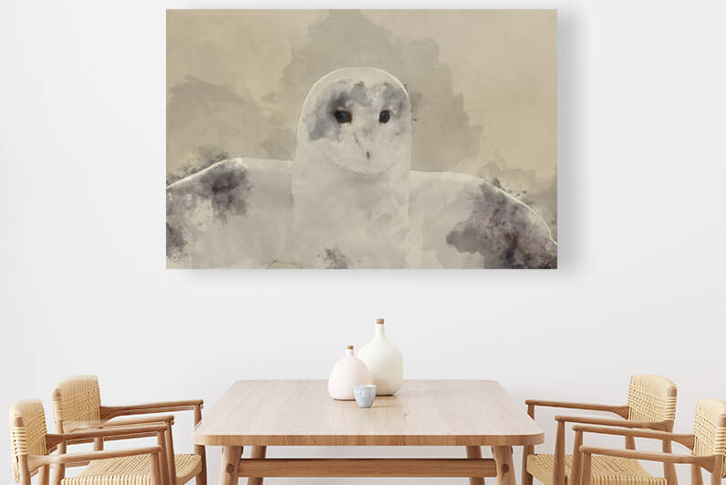 Watercolor painting of Barn owl bird of prey  by Matthew Gibson