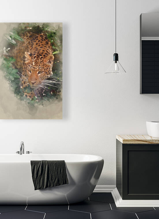 Watercolor painting of Beautiful leopard Panthera Pardus big cat by Matthew Gibson