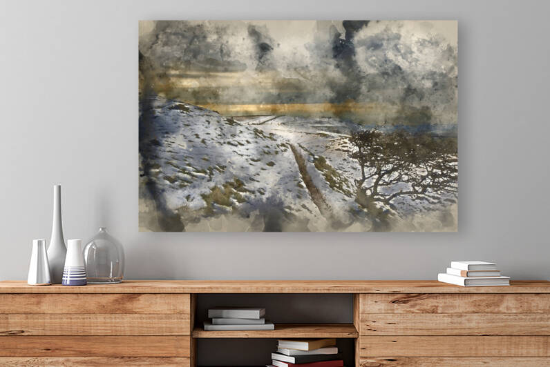 Digital watercolor painting of Eider duck on calm lake by Matthew Gibson