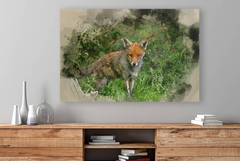 Digital watercolour painting of Stunning image of red fox vulpes by Matthew Gibson