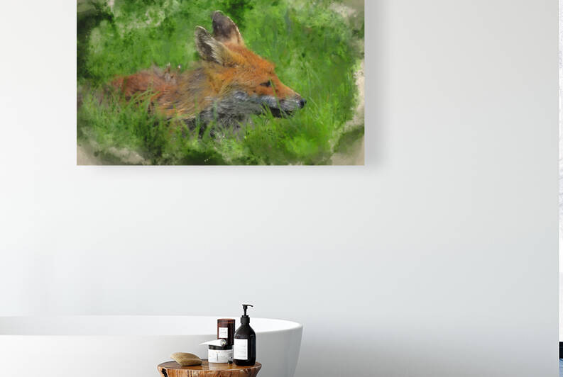 Digital watercolour painting of Stunning image of red fox vulpes by Matthew Gibson