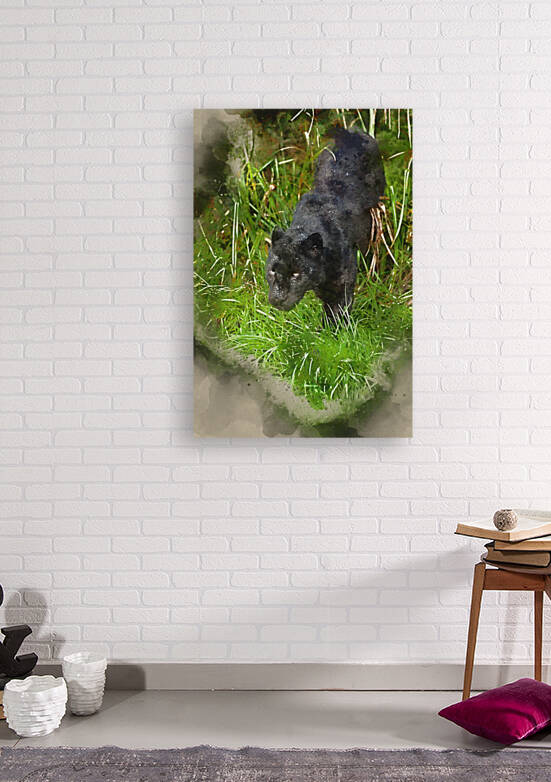Digital watercolour painting of Black leopard Panthera Pardus pr by Matthew Gibson