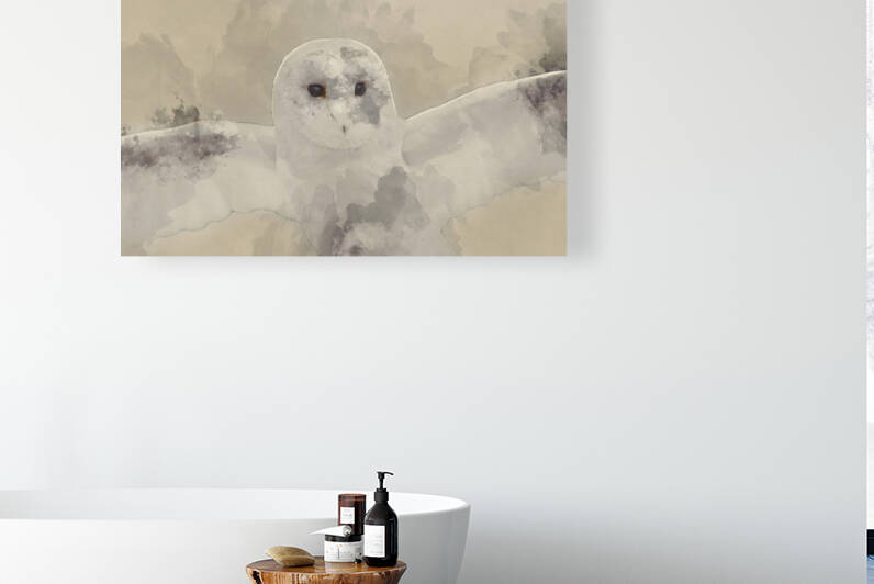 Digital watercolour painting of Barn owl bird of prey  by Matthew Gibson