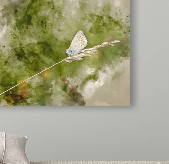 Digital watercolour painting of Common Blue Butterfly Polyommatu by Matthew Gibson