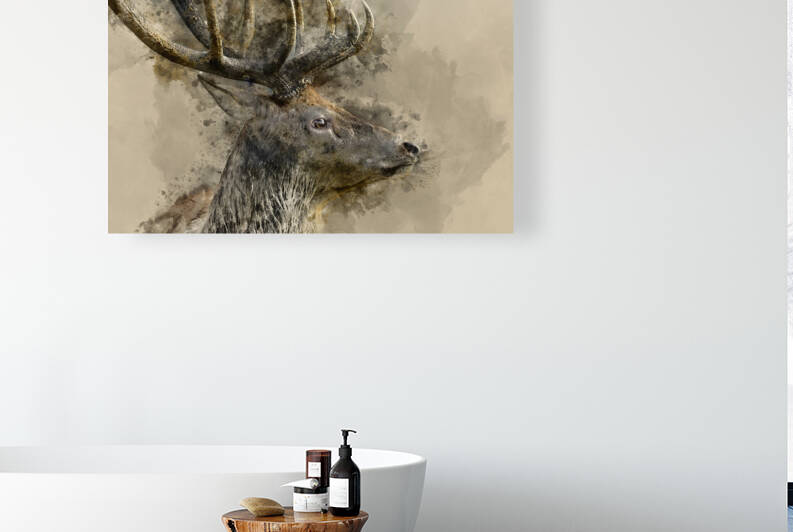 Digital watercolor painting of Stunning red deer stag Cervus Ela by Matthew Gibson