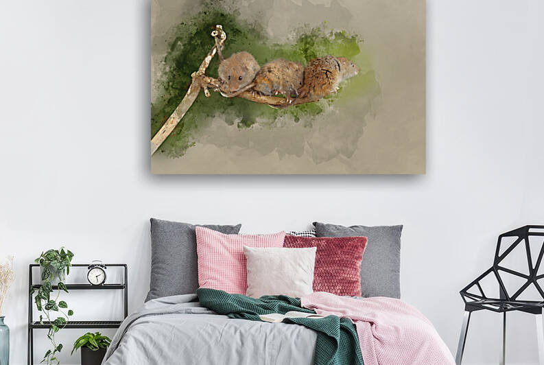 Digital watercolor painting of ADorable and Cute harvest mice mi by Matthew Gibson
