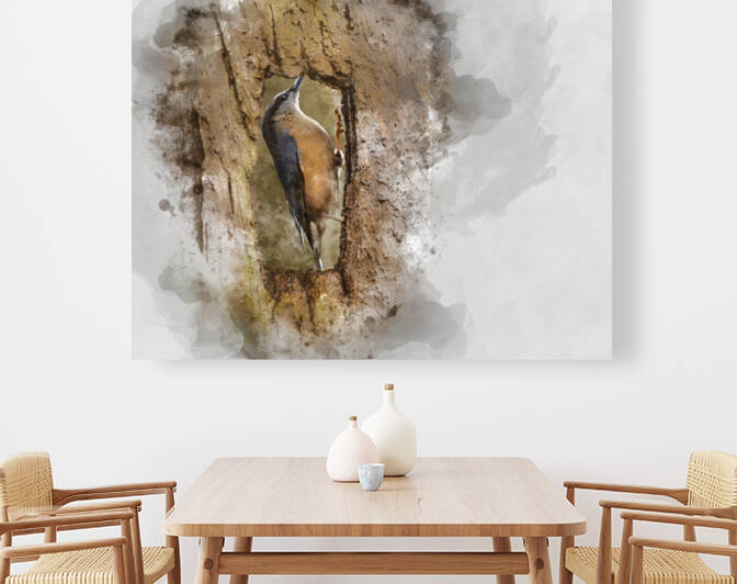 Digitally created watercolor painting of Beautiful Nuthatch gard by Matthew Gibson
