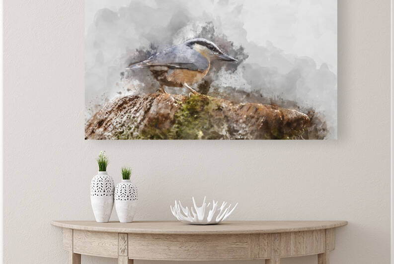 Digital watercolor painting of Beautiful Nuthatch garden bird Si by Matthew Gibson